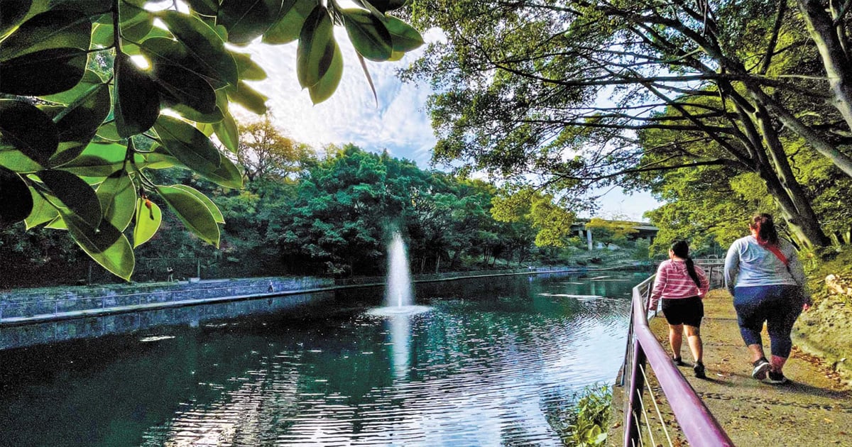 12 toneladas portada diario