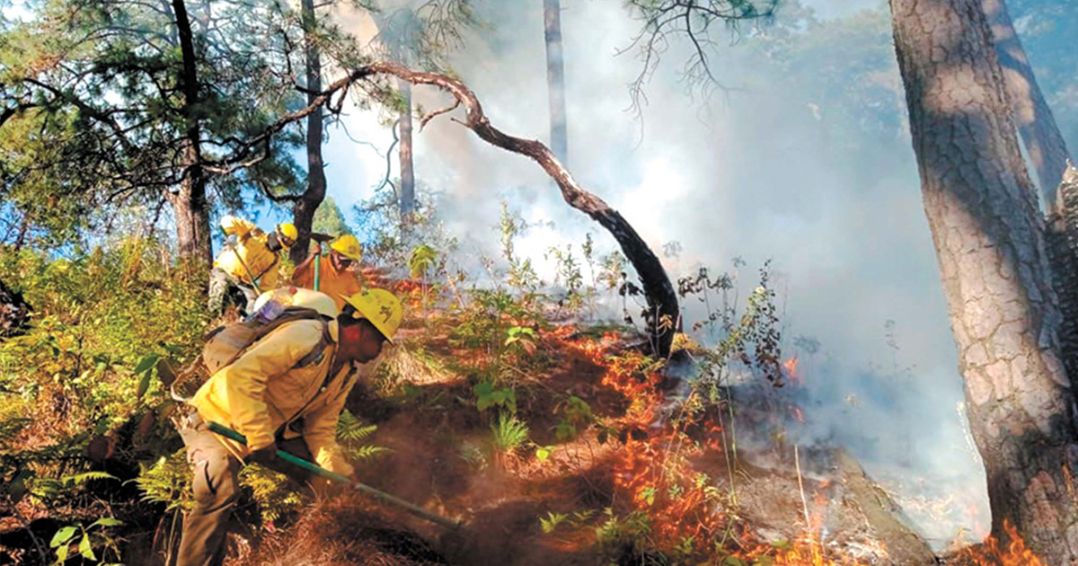 Atienden Zacatuches incendio forestal