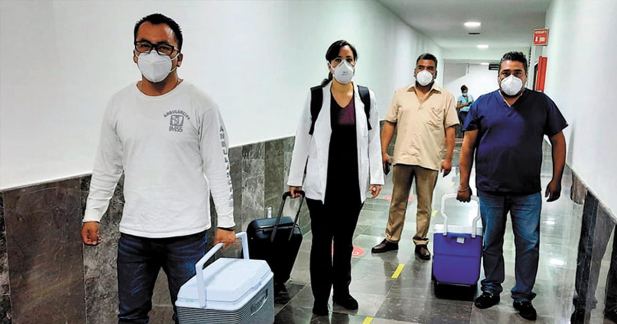 Logra IMSS 13 procuraciones de órganos