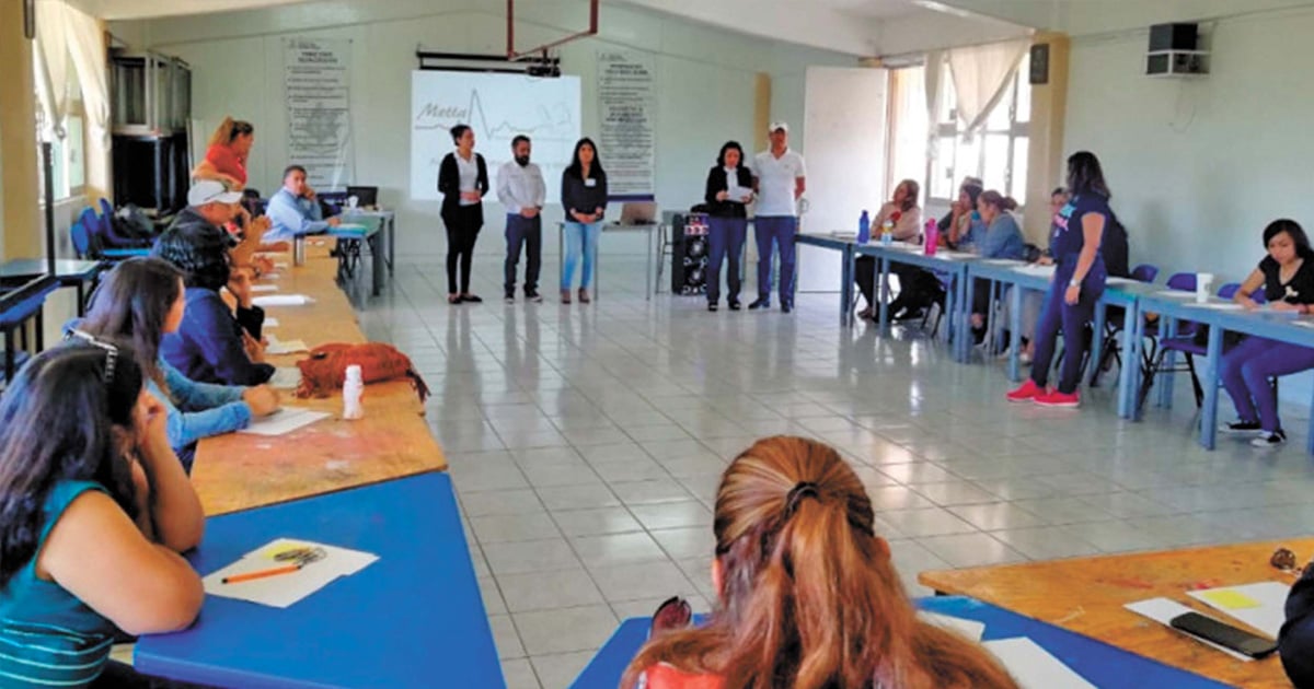 Reanudan profesores hoy sus actividades