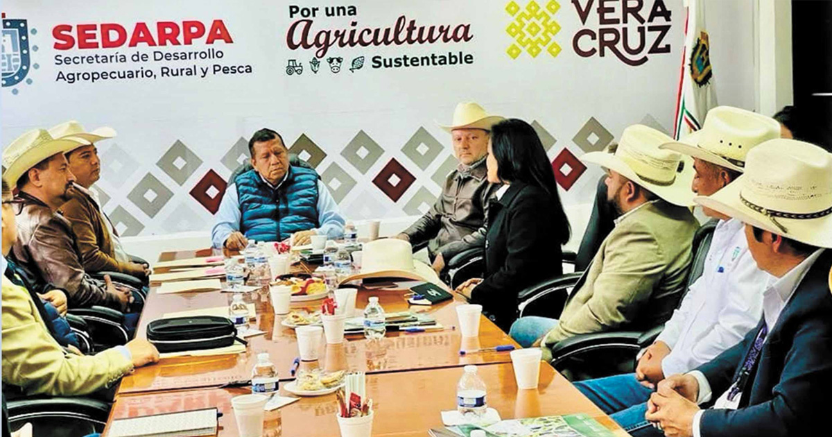 apicultura portada diario