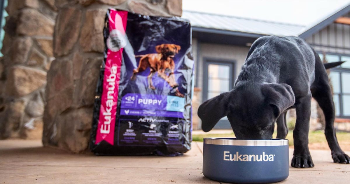 croquetas portada diario