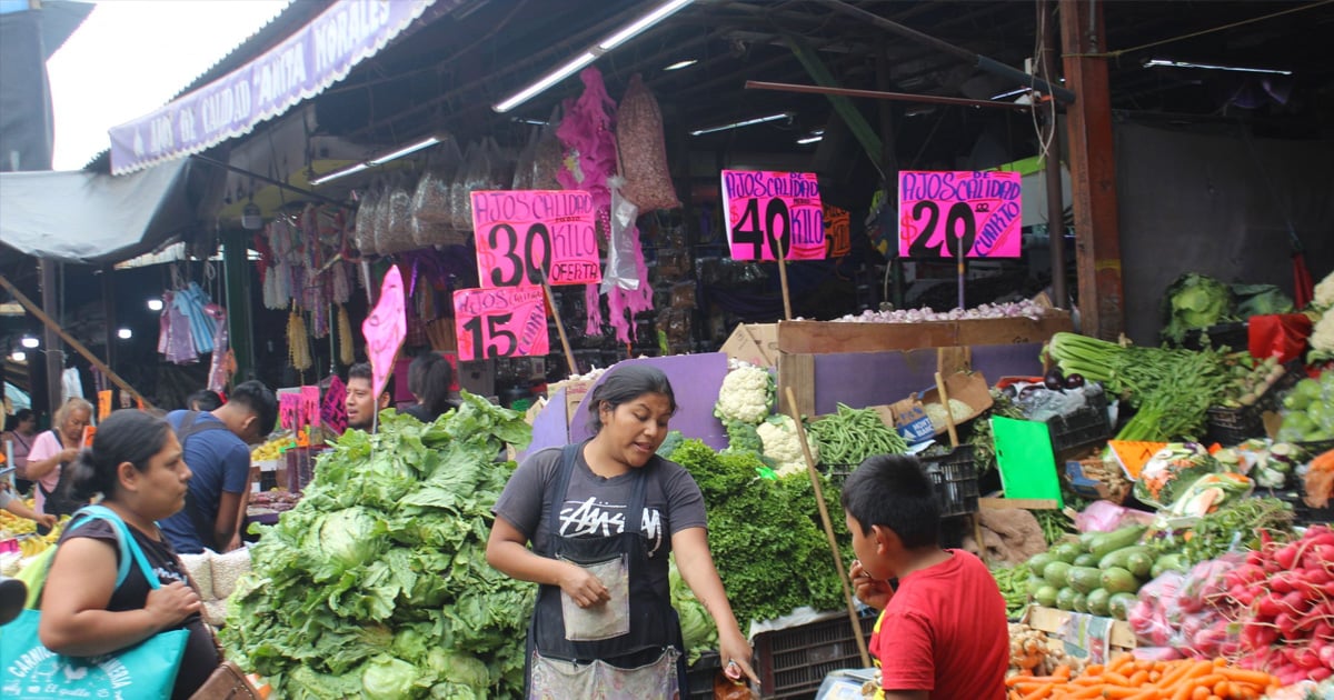 cuernavaca y cuautla precios