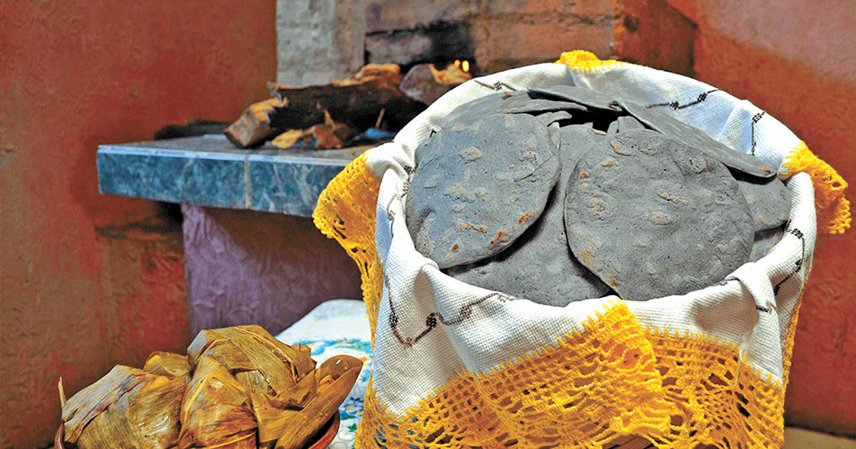 dieta globalizada portada