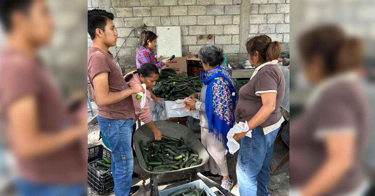 el texcal portada diario