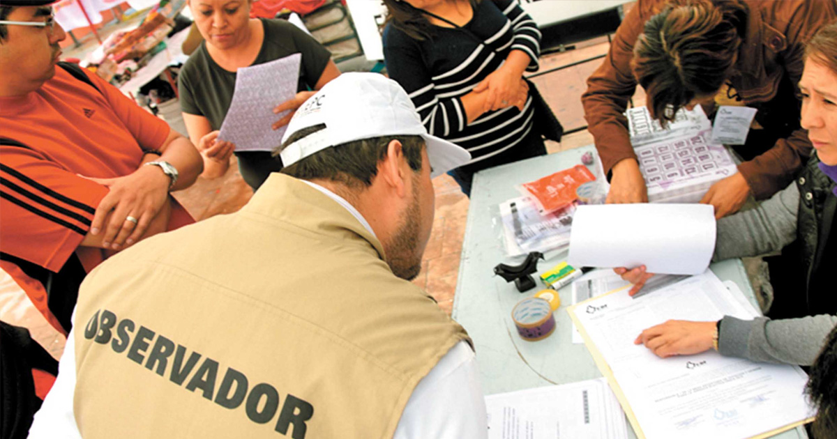 observador electoral portada diario