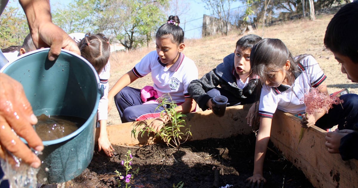 practicas sustentables portada