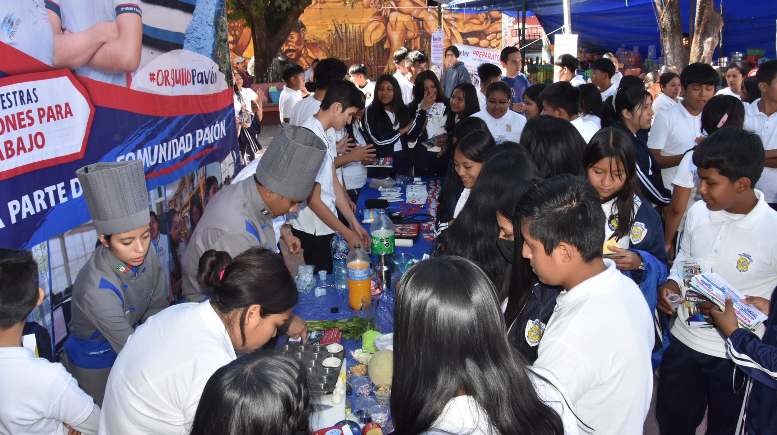 temixco insta diario